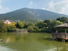 -无锡动物园·太湖欢乐园