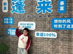 -蓬莱欧乐堡海洋极地世界