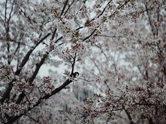 -龙美术馆西岸馆-停车场