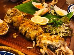 -茉莉.Red Crab