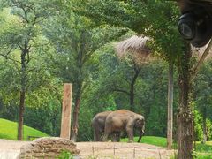 -北京野生动物园