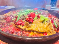 -老板恋上鱼(高新万达店)