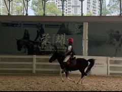 -名驭国际马术学院