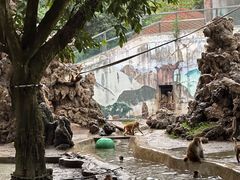 -成都动物园