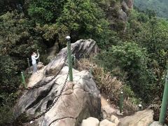 -南山植物园