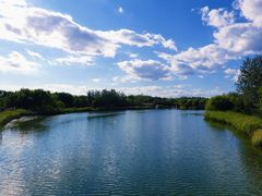 -大兴滨河森林公园