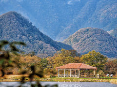 -大九湖
