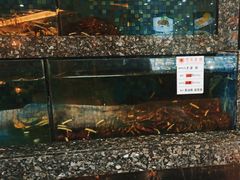 -宝燕壹号(徐汇店)