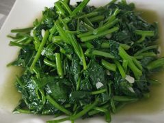 -领鲜土菜馆