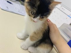 -宠颐生中康贝怡动物医院