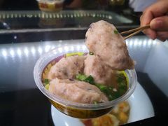 原味盲公丸-无影脚佛山陈氏盲公丸始创店(飞鸿街店)