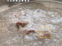 -源港渔村-中山脆肉鲩(博罗店)