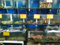 水产区-蚝专家(北滘店)