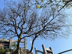 -叠彩山景区