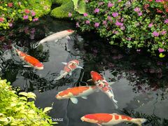 -罗红摄影艺术馆