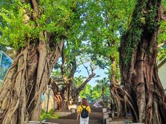 -龙环葡韵住宅式博物馆