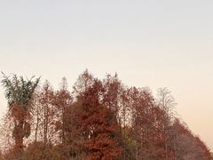 -厦门园林博览苑