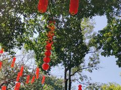 -荔湾湖公园