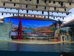 -三亚海昌梦幻海洋不夜城