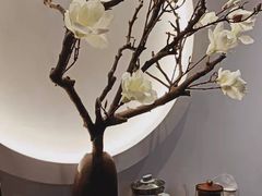 -不凡脑禅境·养生·舒压调理SPA(华发世纪城店)
