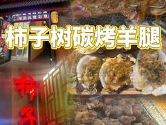 -柿子树炭烤羊腿(金台路店)