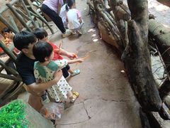 -长鹿旅游休博园