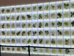 -广东中医药博物馆