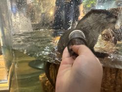 -Zoolung Zoolung动物主题公园(海信广场店)