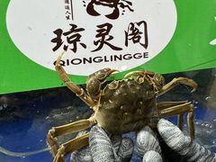 -阳澄湖大闸蟹·琼灵阁牌品牌连锁(吴中总店)