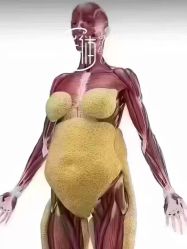 -丽减美瘦吧·减肥瘦身