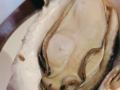 -蚝堡海鲜·威海菜·海肠捞饭·烧烤·亚洲吃蚝公司(幸福门店)