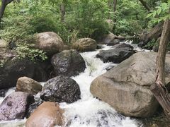 -云岫谷自然风景区