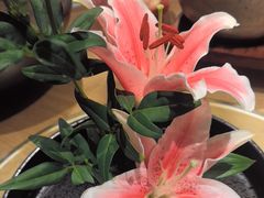 -四季餐厅·新津菜(环湖中路店)