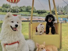 -太阳岛度假酒店