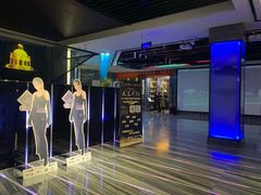 -宝岛甲壳虫KTV(蓝天路店)
