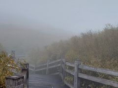 -神农架景区