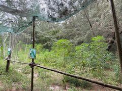 -北海金海湾红树林生态旅游区