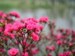 -白沙门生态公园