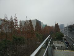 -外高桥保税区南(地铁站)