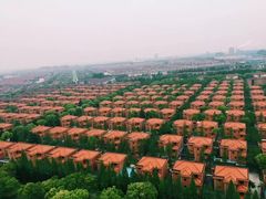 -华西村