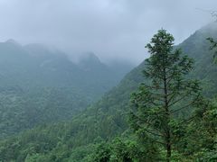 -罗田天堂寨风景区