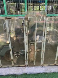 -萌宠亲子动物乐园(槐房万达店)