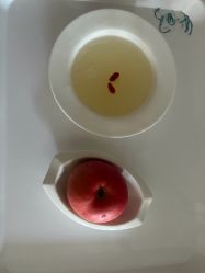 -中法母婴月子中心(南湖创始店)