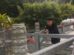 -神光山国家森林公园