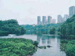 -重庆彩云湖湿地公园