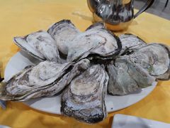 桑拿蚝-蚝专家(北滘店)
