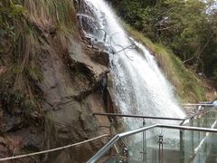 -九龙江国家森林公园