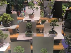 -瑞虹新天地月亮湾