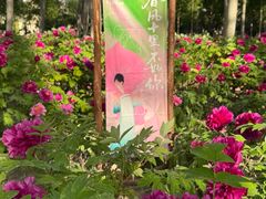 -仁和公园(顺义区)