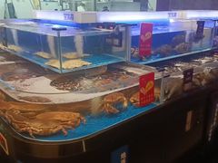 -同庆楼(天鹅酒家店)